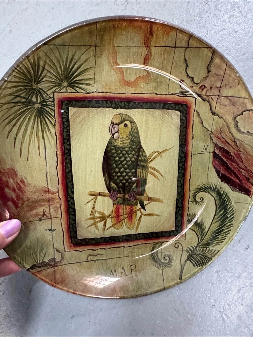 Set of 2 Decorative Parrot Accent Painted Glass Plates in Olive & Gold Tones